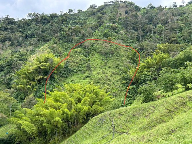 Finca en venta en La Cabaña, Manizales, 250 m² · foto 6 de 24
