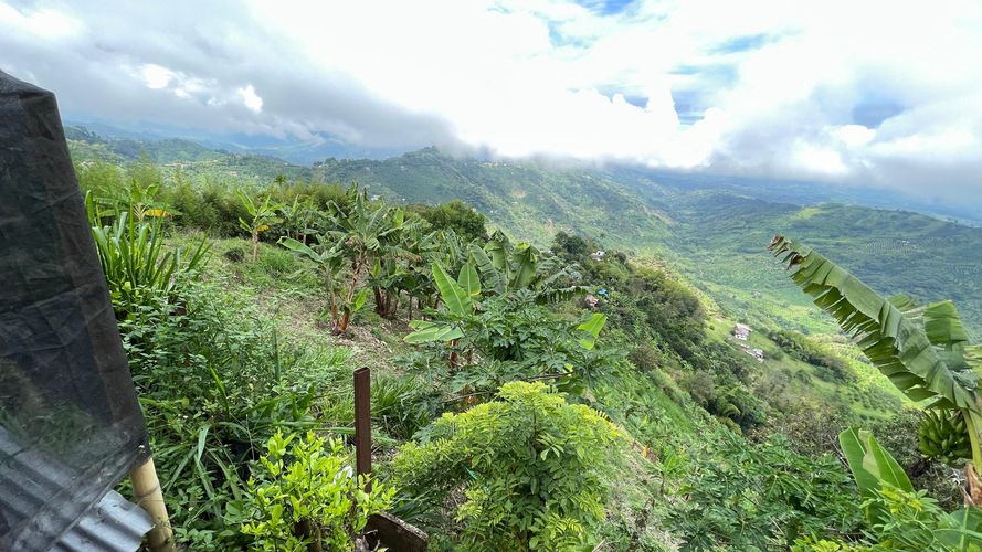Finca en venta en La Cabaña, Manizales, 250 m² · foto 8 de 24