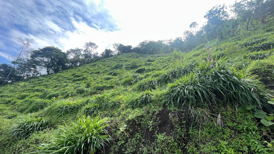 Finca en venta en La Cabaña, Manizales, 250 m² · foto 11 de 24