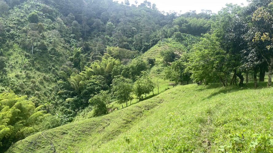 Finca en venta en La Cabaña, Manizales, 250 m² · foto 15 de 24