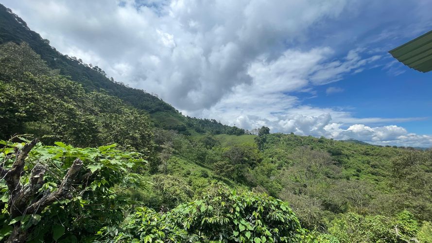 Finca en venta en La Cabaña, Manizales, 250 m² · foto 18 de 24