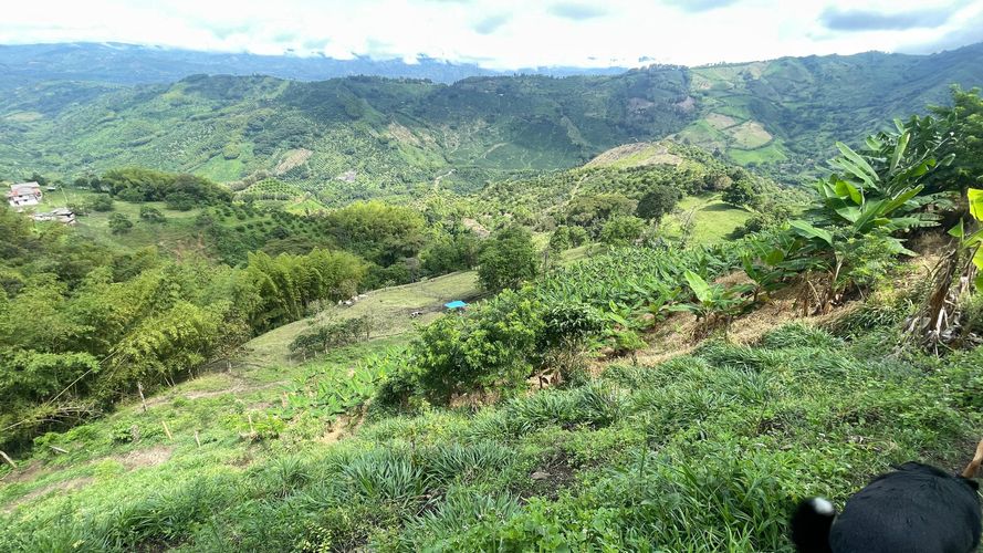 Finca en venta en La Cabaña, Manizales, 250 m² · foto 20 de 24