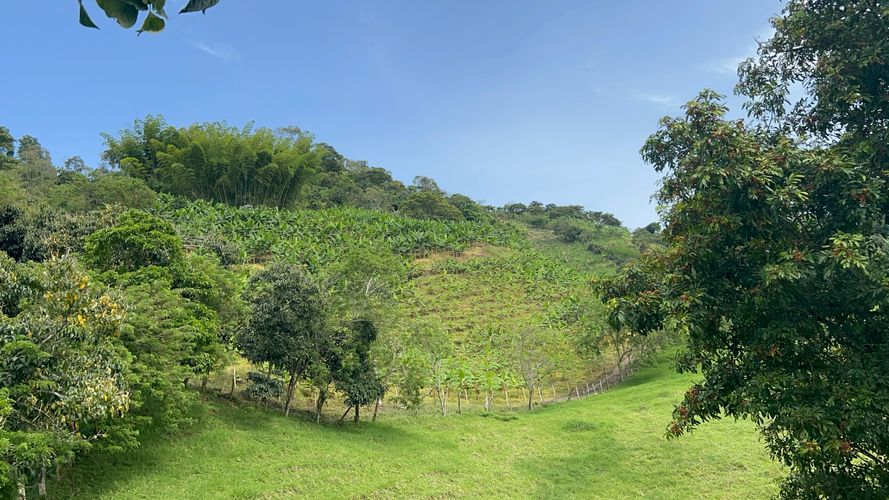 Finca en venta en La Cabaña, Manizales, 250 m² · foto 24 de 24