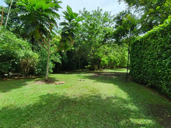 Lote en venta en Las Pavas, Manizales · foto 8 de 21