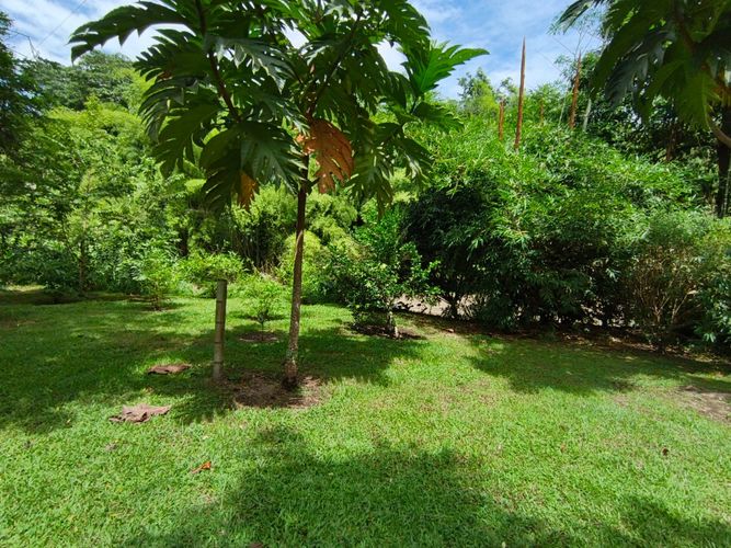 Lote en venta en Las Pavas, Manizales · foto 9 de 21