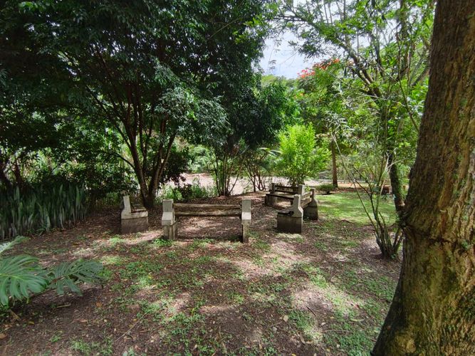 Lote en venta en Las Pavas, Manizales · foto 10 de 21