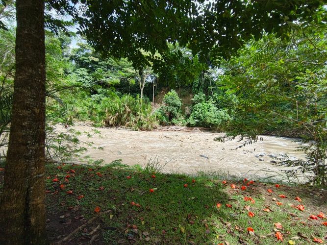 Lote en venta en Las Pavas, Manizales · foto 11 de 21