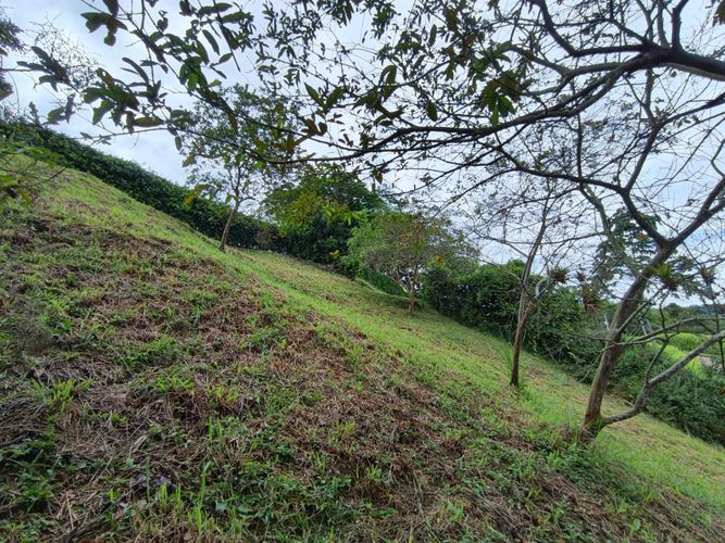 Lote en venta en Las Pavas, Manizales · foto 12 de 21