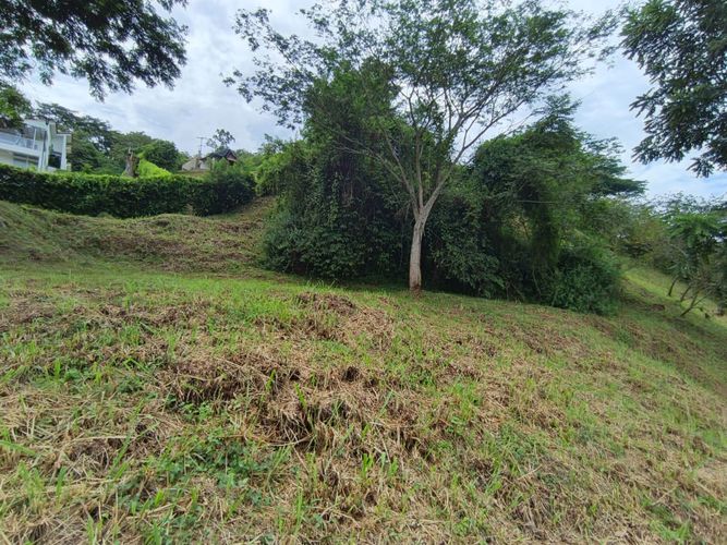 Lote en venta en Las Pavas, Manizales · foto 14 de 21