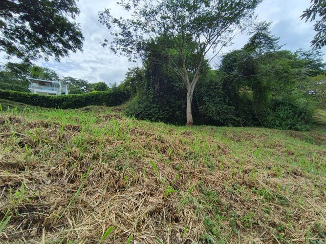 Lote en venta en Las Pavas, Manizales · foto 15 de 21