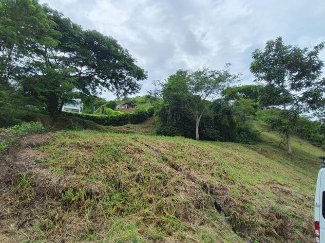 Lote en venta en Las Pavas, Manizales · foto 16 de 21