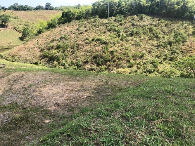 Lote en venta en Cerritos, Pereira, 2327 m² · foto 8 de 16