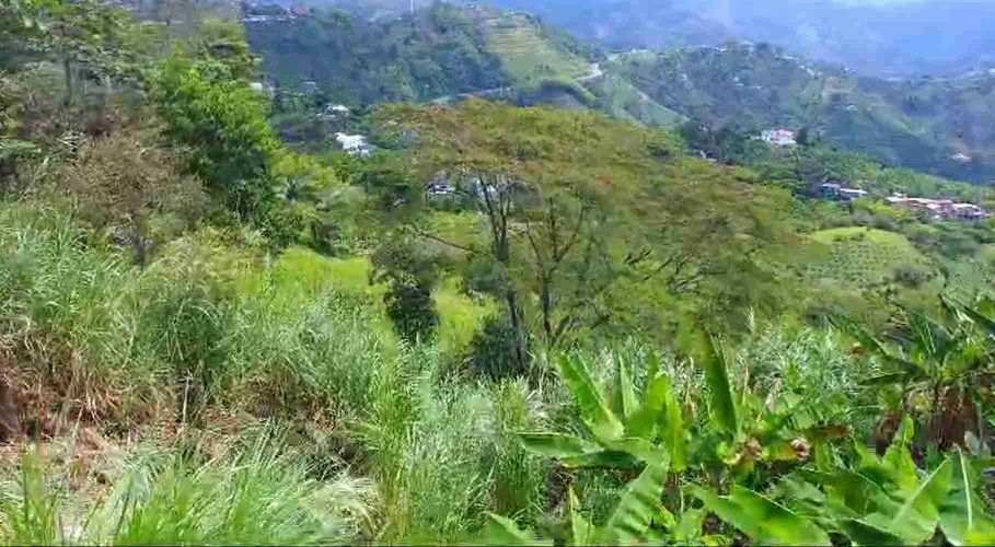 Lote en venta en San Peregrino, Manizales, 185 m² · foto 6 de 6