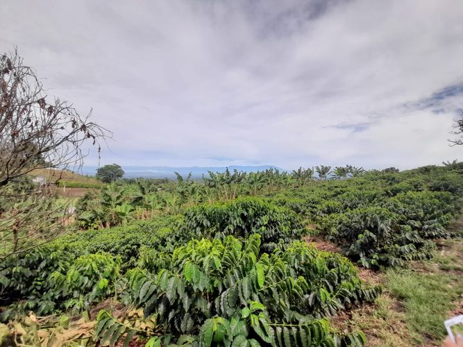 Lote en venta en Arabia, Pereira · foto 6 de 23