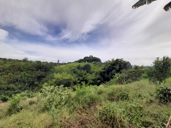 Lote en venta en Arabia, Pereira · foto 13 de 23