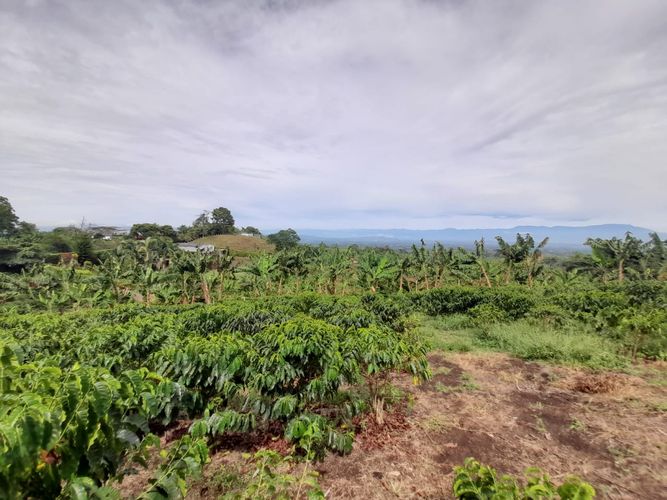 Lote en venta en Arabia, Pereira · foto 18 de 23