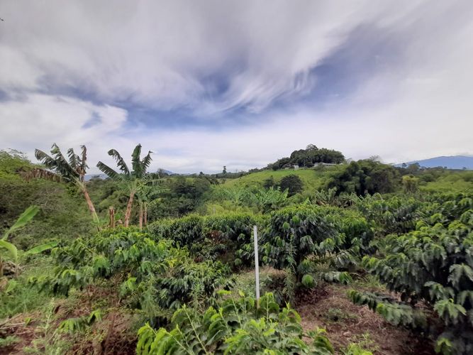 Lote en venta en Arabia, Pereira · foto 22 de 23