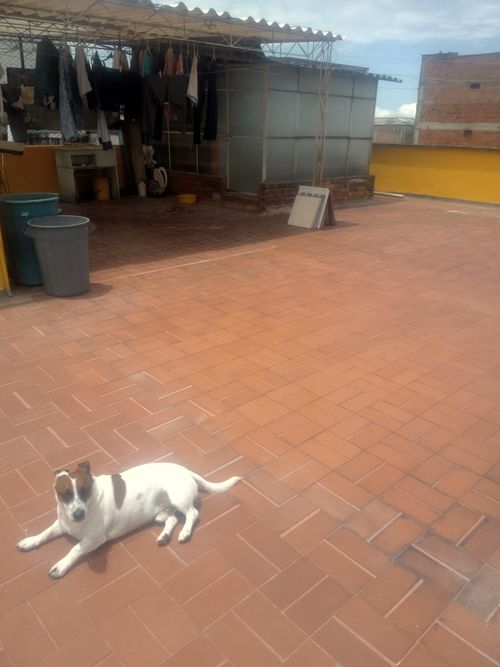 Apartamento de 6 alcobas en venta en San Antonio, Manizales, 200 m² · foto 10 de 21