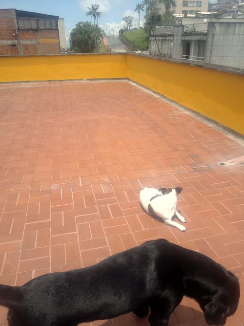 Apartamento de 6 alcobas en venta en San Antonio, Manizales, 200 m² · foto 17 de 21
