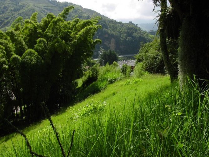 Lote en venta en Avenida Alberto Mendoza, Manizales, 2394 m² · foto 2 de 7
