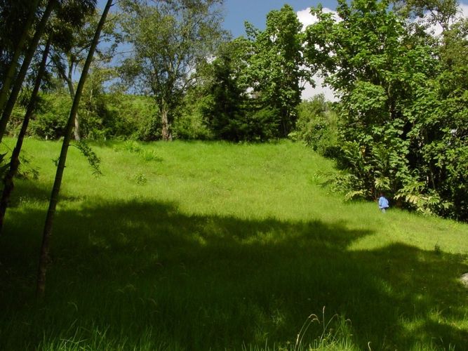 Lote en venta en Avenida Alberto Mendoza, Manizales, 2394 m² · foto 3 de 7