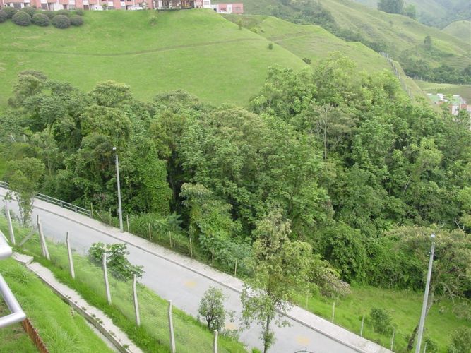 Lote en venta en Avenida Alberto Mendoza, Manizales, 2394 m² · foto 4 de 7
