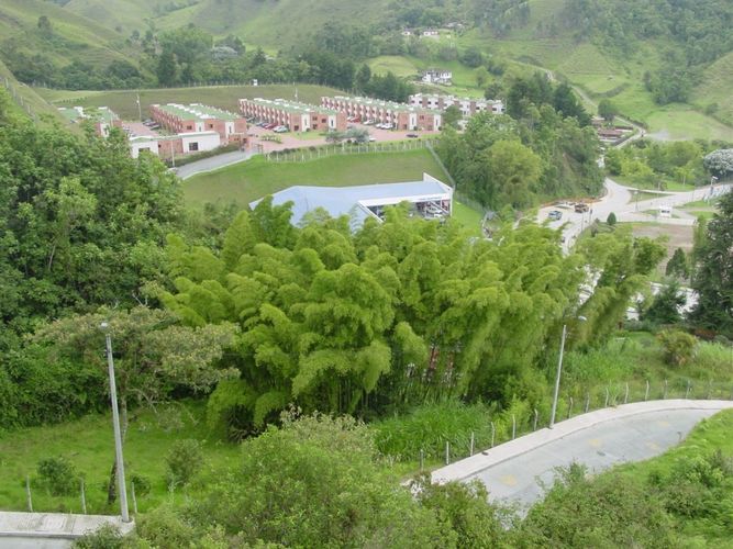 Lote en venta en Avenida Alberto Mendoza, Manizales, 2394 m² · foto 5 de 7