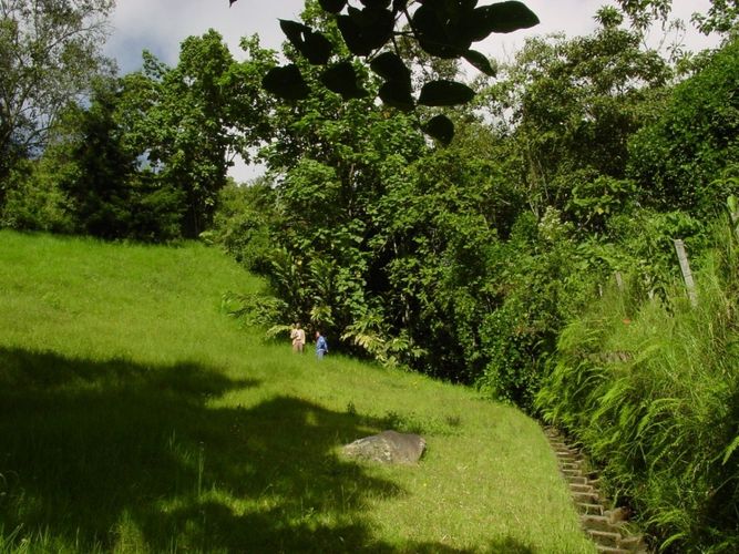 Lote en venta en Avenida Alberto Mendoza, Manizales, 2394 m² · foto 6 de 7