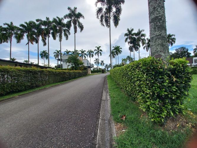 Lote en venta en Cerritos, Pereira, 1517 m² · foto 12 de 13
