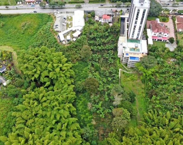 Lote en venta en Avenida Centenario, Armenia · foto 2 de 8