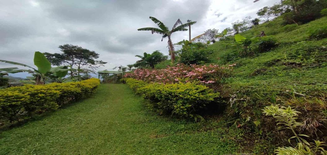 Finca en venta en La Argentina, Dosquebradas, 300 m² · foto 5 de 24