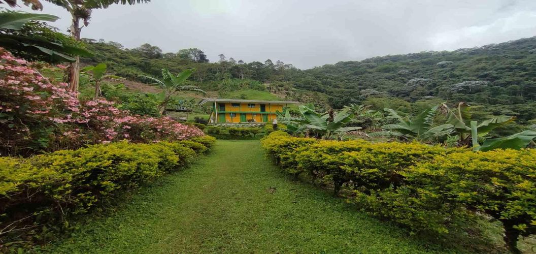 Finca en venta en La Argentina, Dosquebradas, 300 m² · foto 8 de 24