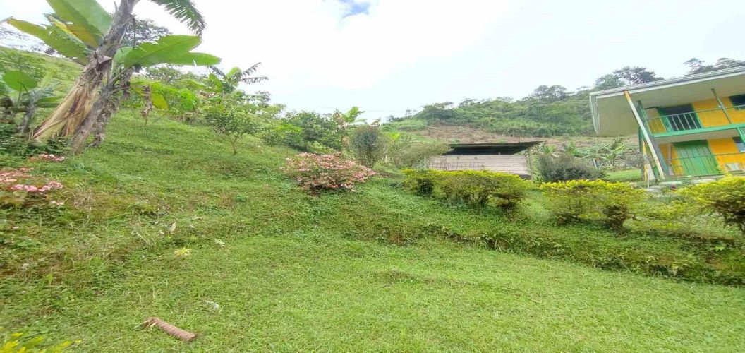 Finca en venta en La Argentina, Dosquebradas, 300 m² · foto 9 de 24