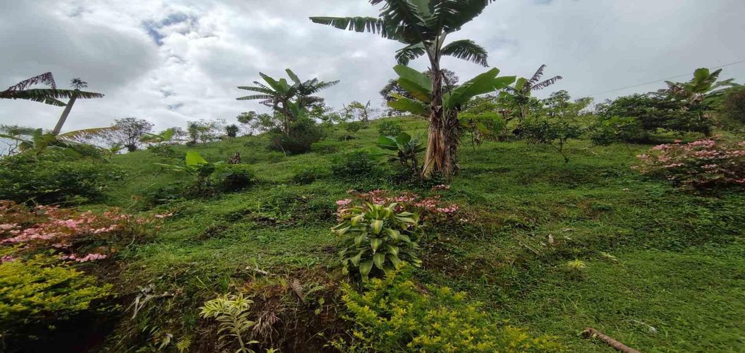 Finca en venta en La Argentina, Dosquebradas, 300 m² · foto 12 de 24