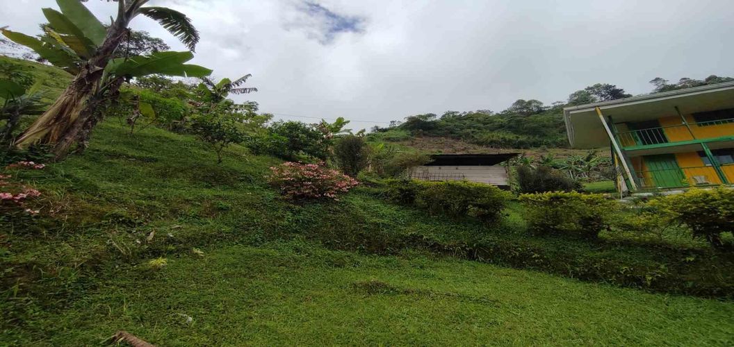 Finca en venta en La Argentina, Dosquebradas, 300 m² · foto 13 de 24