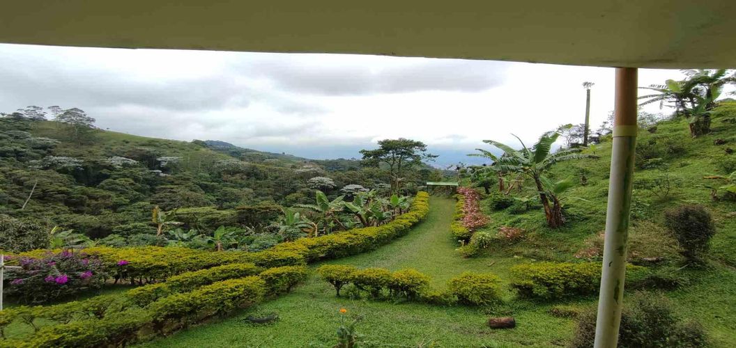 Finca en venta en La Argentina, Dosquebradas, 300 m² · foto 19 de 24