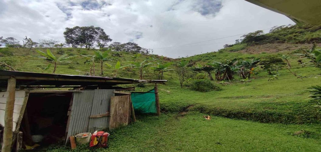 Finca en venta en La Argentina, Dosquebradas, 300 m² · foto 23 de 24