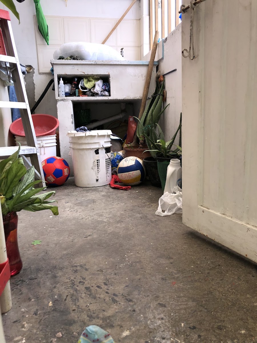 Casa en venta en Las Colinas, Manizales · foto 8 de 8