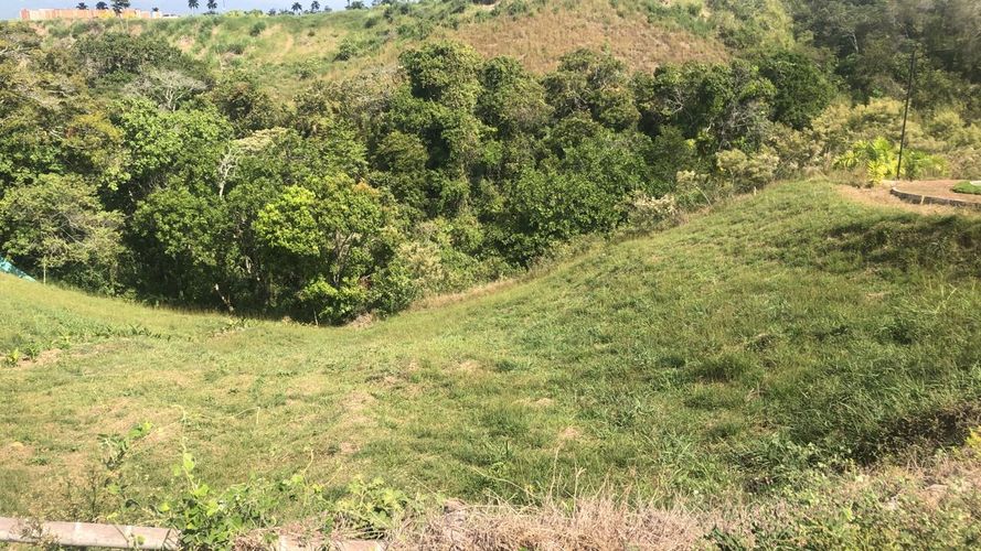 Lote en venta en Cerritos, Pereira, 1519 m² · foto 2 de 20