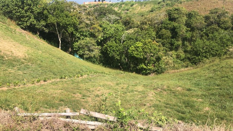 Lote en venta en Cerritos, Pereira, 1519 m² · foto 3 de 20
