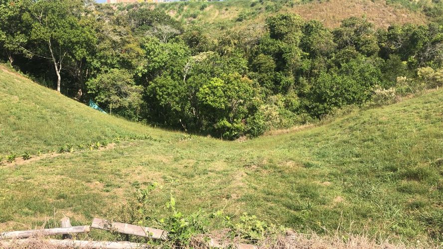 Lote en venta en Cerritos, Pereira, 1519 m² · foto 5 de 20