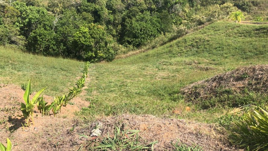 Lote en venta en Cerritos, Pereira, 1519 m² · foto 6 de 20