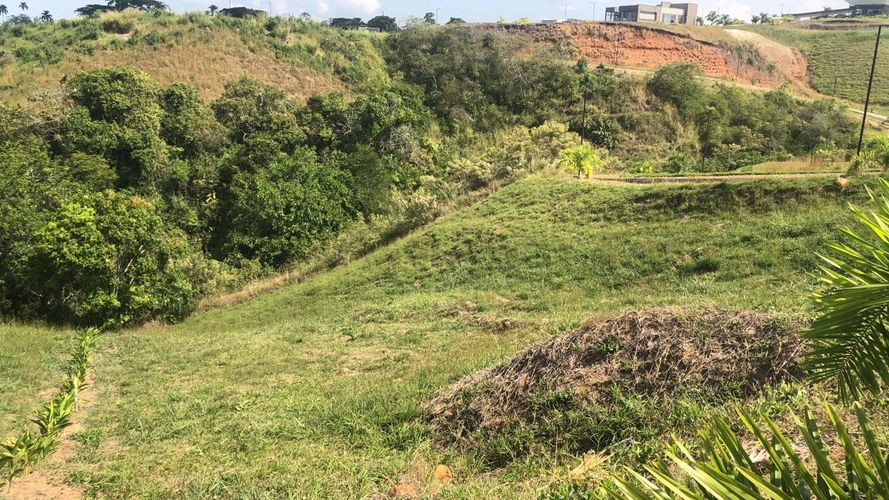Lote en venta en Cerritos, Pereira, 1519 m² · foto 8 de 20