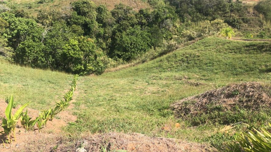 Lote en venta en Cerritos, Pereira, 1519 m² · foto 14 de 20
