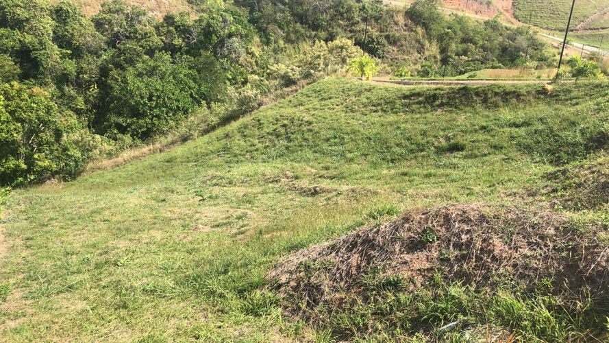 Lote en venta en Cerritos, Pereira, 1519 m² · foto 18 de 20