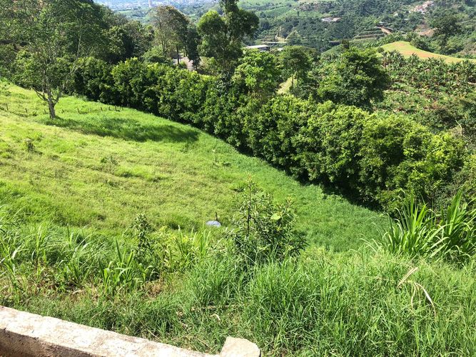 Finca en venta en Altagracia, Pereira, 252 m² · foto 22 de 24