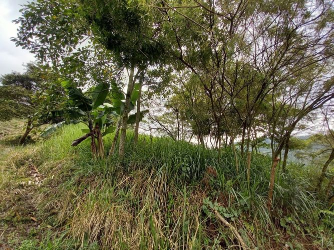 Lote en venta en El Arenillo, Manizales, 380 m² · foto 2 de 17