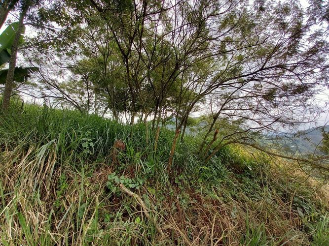 Lote en venta en El Arenillo, Manizales, 380 m² · foto 3 de 17