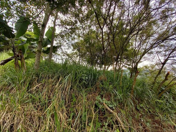 Lote en venta en El Arenillo, Manizales, 380 m² · foto 4 de 17
