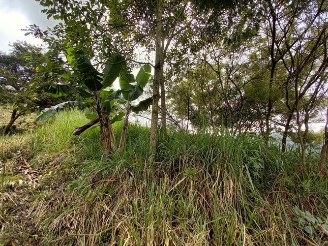 Lote en venta en El Arenillo, Manizales, 380 m² · foto 5 de 17